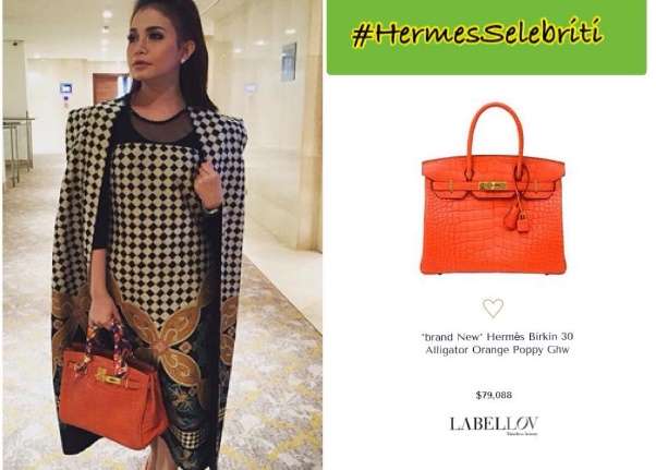 Hermes Selebritis