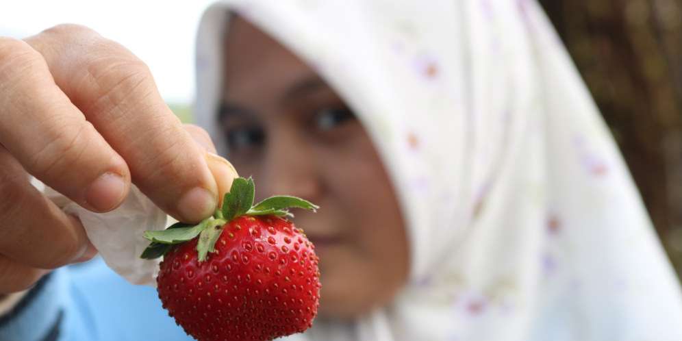 6 Manfaat Ajaib Strawberry untuk Kecantikan Rambut dan Wajah