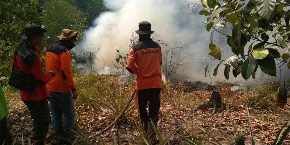 4 Provinsi Siaga-Darurat Kebakaran Hutan dan Lahan