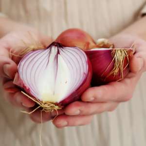 Makan Bawang Mentah, Haram?