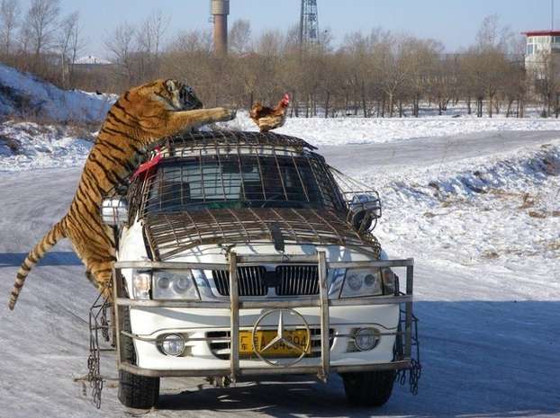 Foto Kocak Diambil Satu Detik Sebelumnya 4