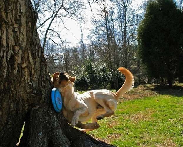 Foto Kocak Diambil Satu Detik Sebelumnya 11