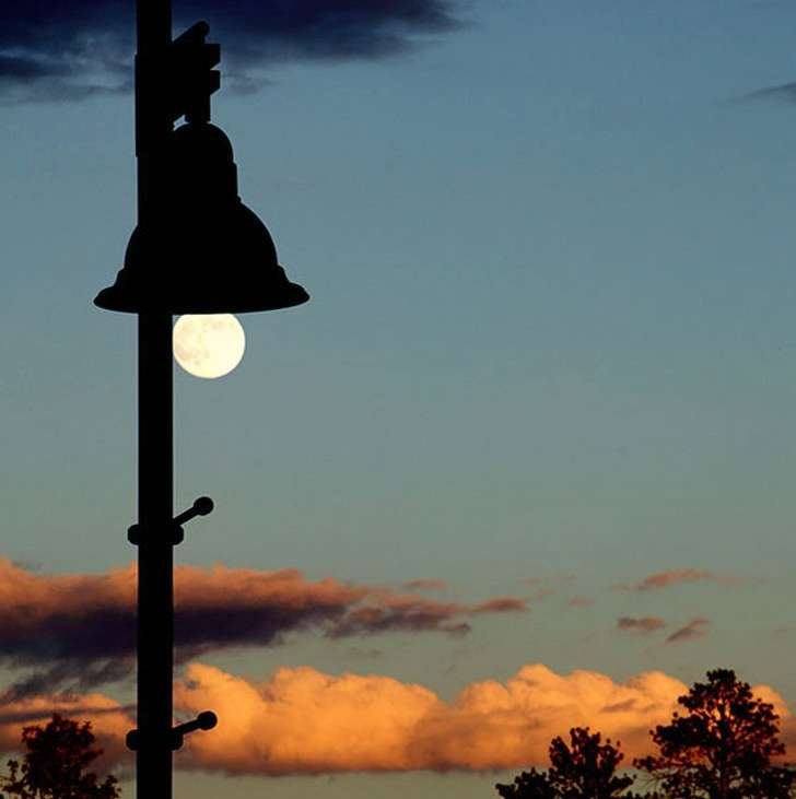 Foto Unik Tercipta Karena Faktor Keberuntungan