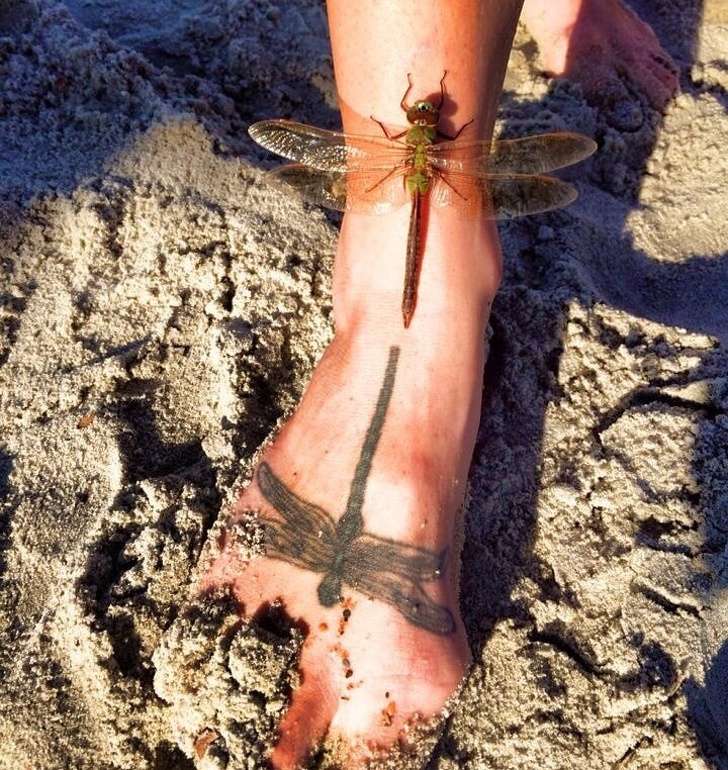 Foto Unik Tercipta Karena Faktor Keberuntungan