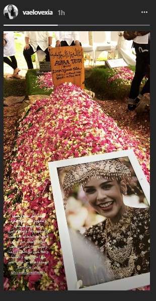 adara taista adara taista