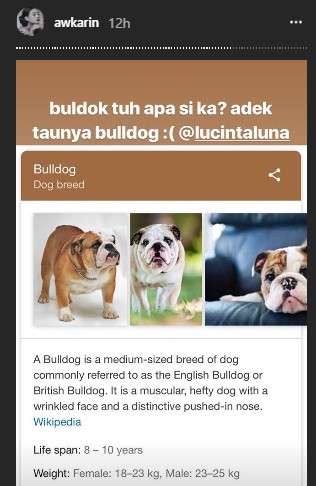 unggahan awkarin
