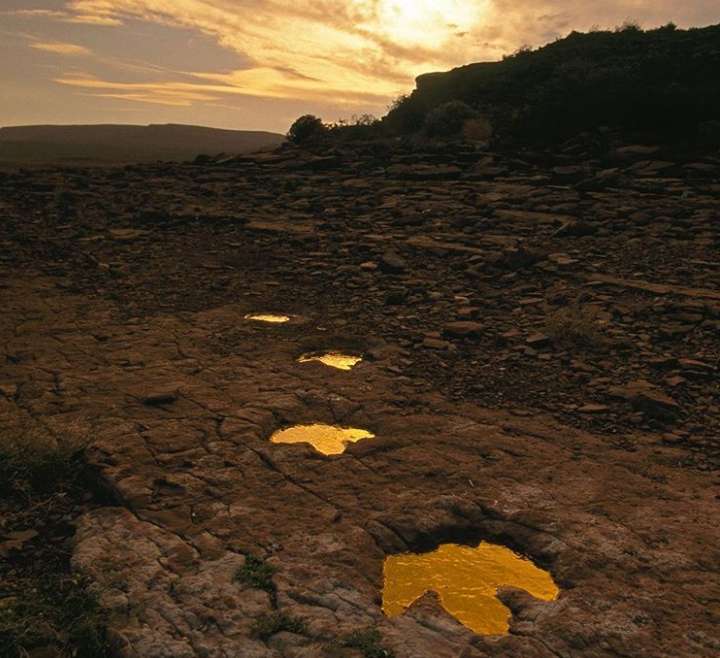 Kejadian Aneh Yang Terjadi Sekali Seumur Hidup Kejadian Aneh Yang Terjadi Sekali Seumur Hidup