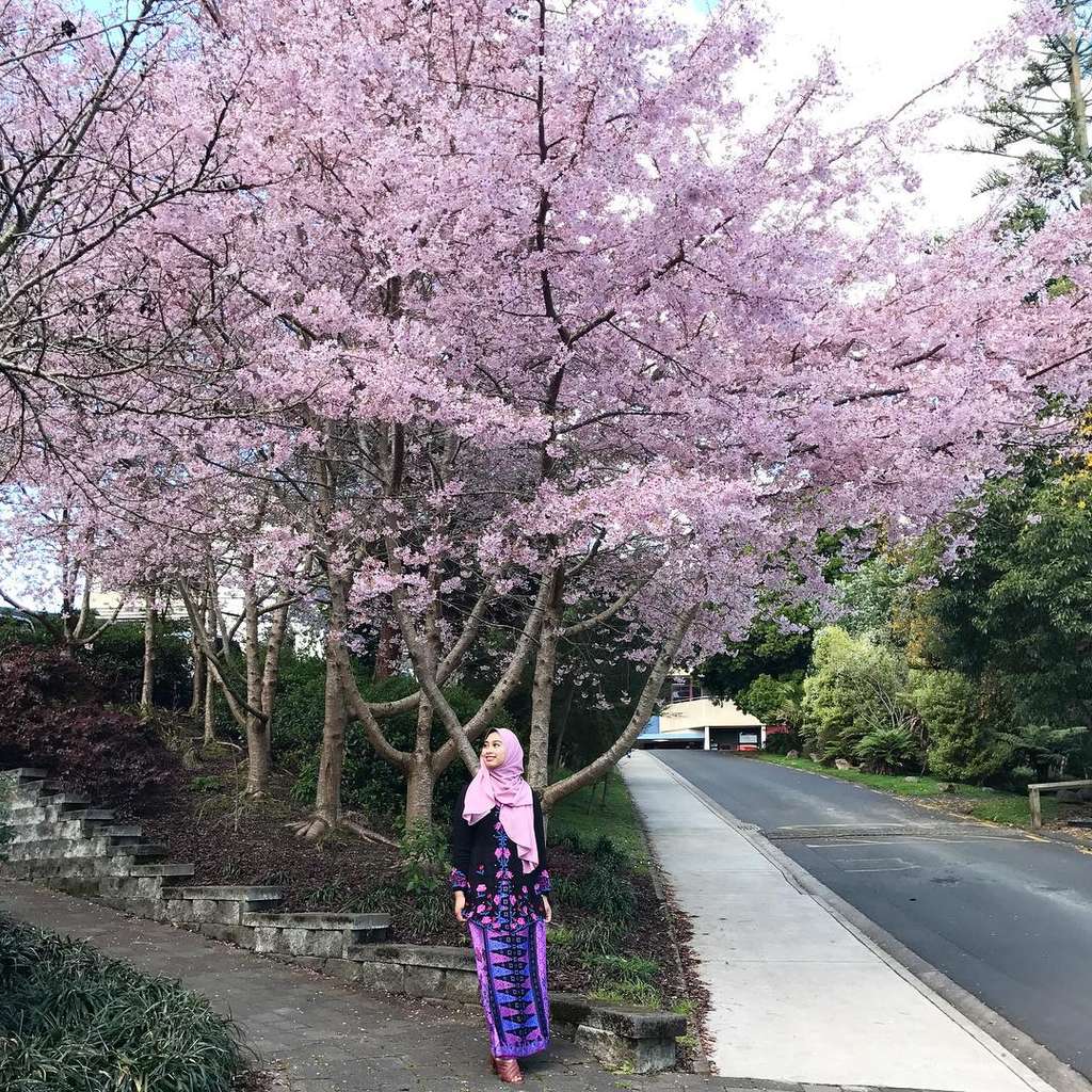 Nurul Shamsu Nurul Shamsu