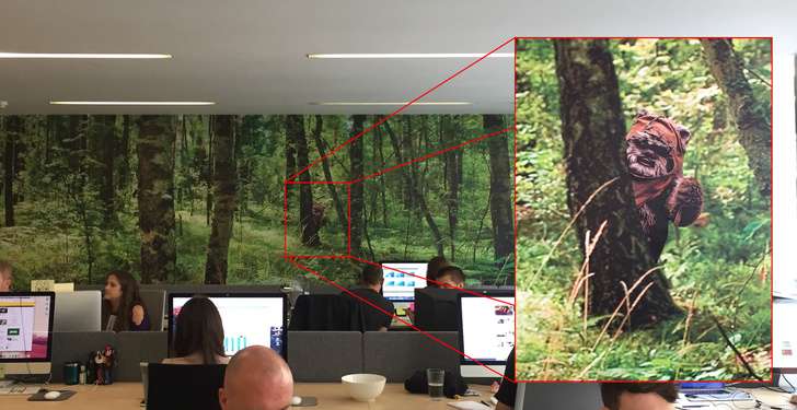Foto Unik Foto Unik