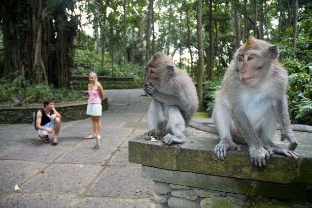 mirror.co.uk mirror.co.uk