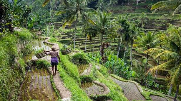 mirror.co.uk mirror.co.uk