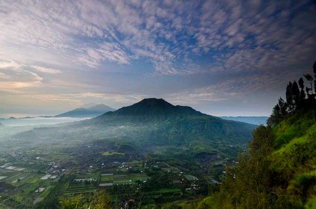 mirror.co.uk mirror.co.uk