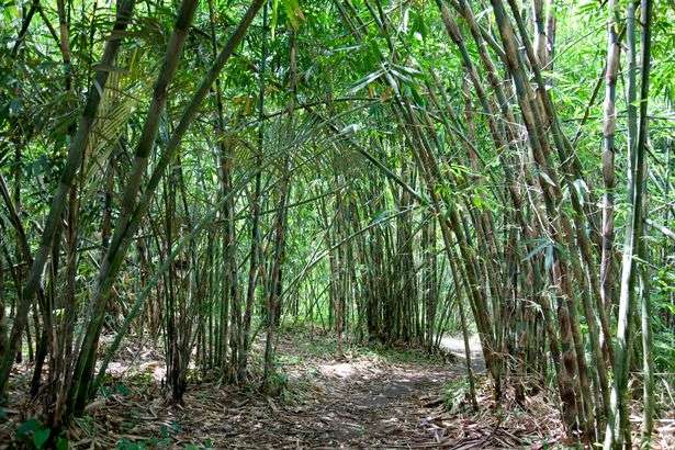 mirror.co.uk mirror.co.uk