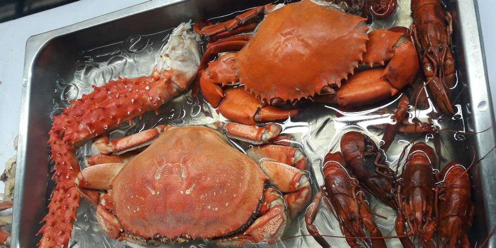 Catat, Cara Mudah Buka Cangkang Kepiting Catat, Cara Mudah Buka Cangkang Kepiting