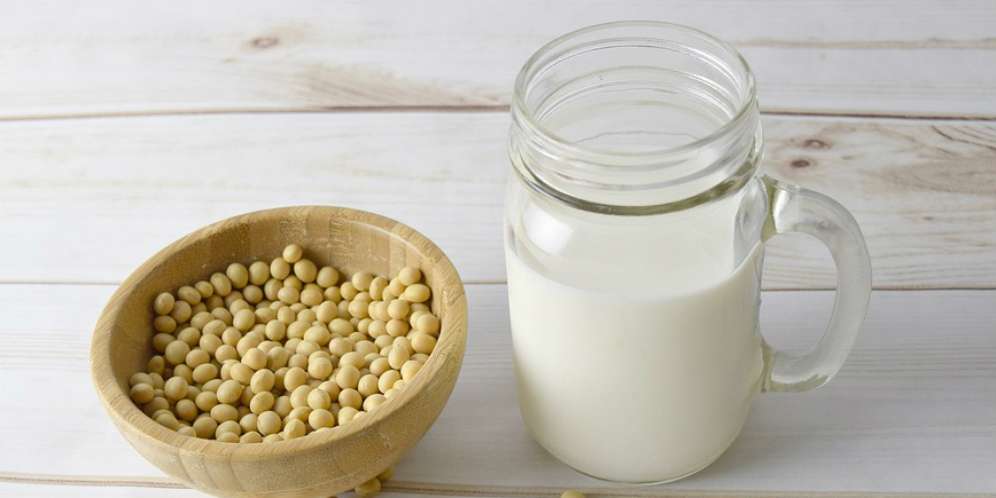 Ini Asupan Protein Berkualitas dari Sumber Nabati