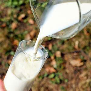 Orang Dewasa Juga Butuh Minum Susu untuk Penuhi Nutrisi