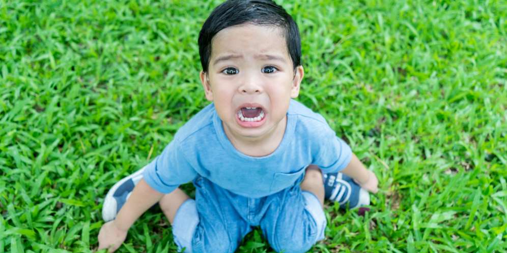 Anak yang Sering Tantrum Cenderung Lebih Sukses?
