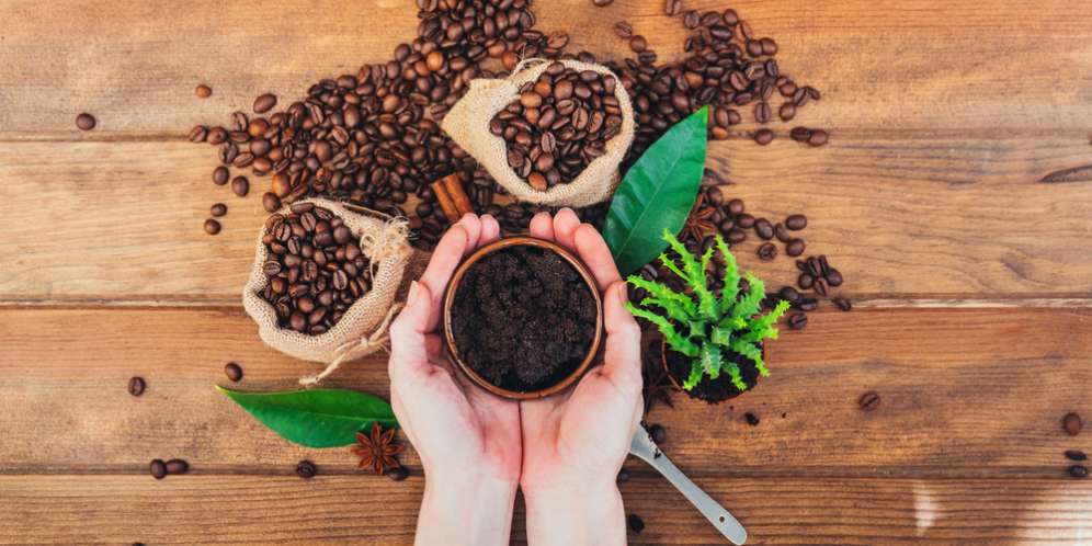 Manfaat Ampas Kopi & Cara Membuat jadi Scrub Tubuh