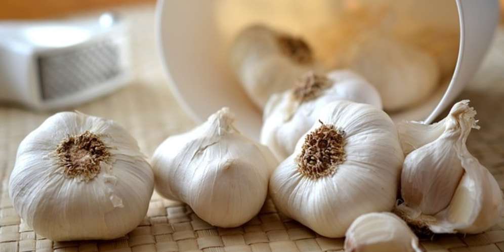 5 Manfaat Bawang Putih Bagi Kesehatan Tubuh