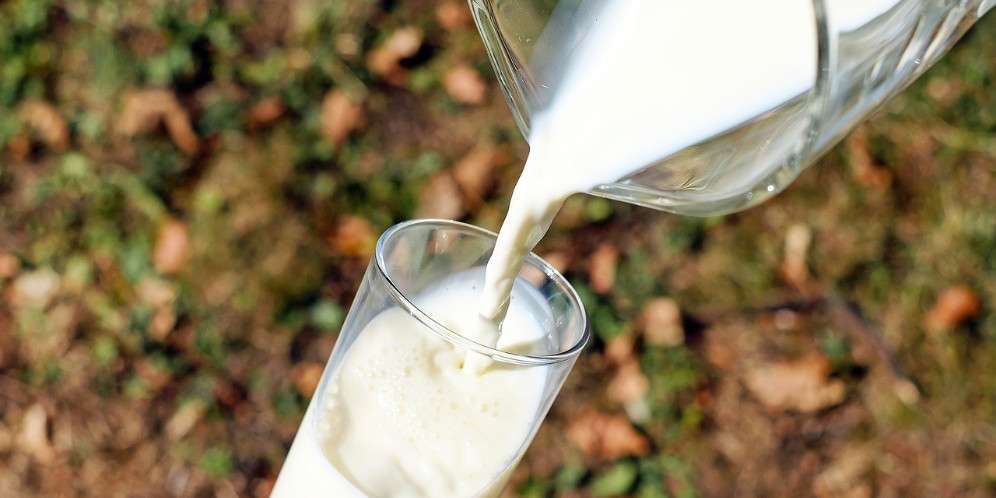 5 Manfaat Susu Unta Bagi Kesehatan, Bagus untuk Anak