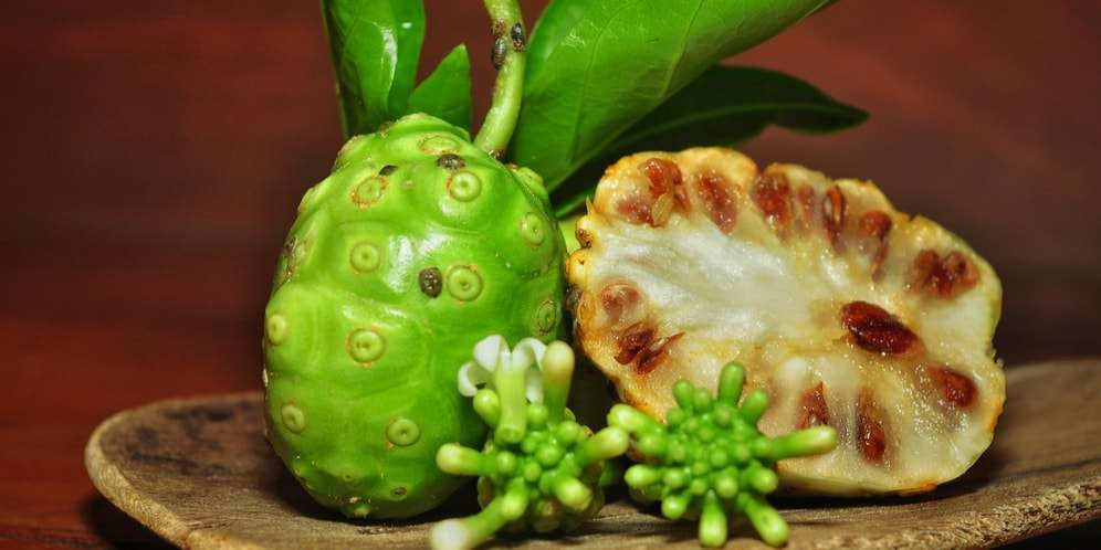8 Manfaat Buah Mengkudu, Sudah Tahu?
