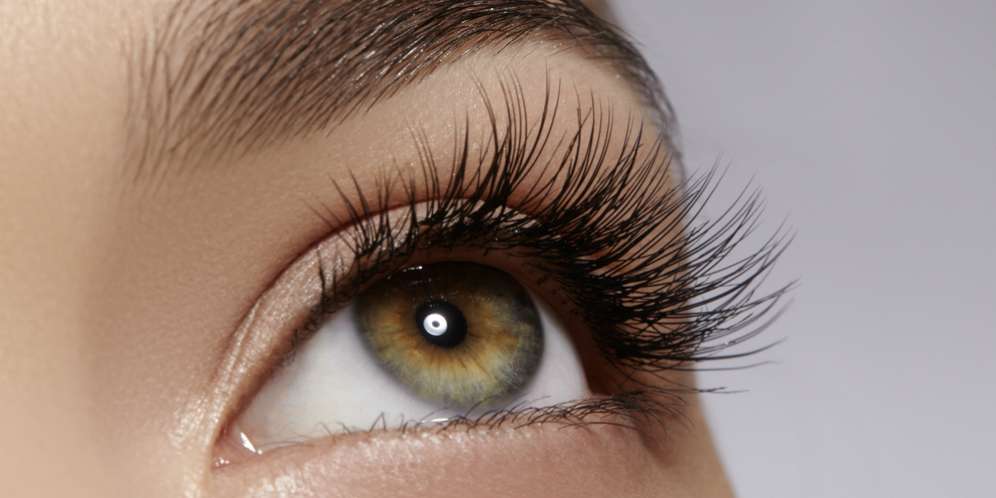 Silk Lash, Bulu Mata Palsu Alternatif Mink Hair yang Mulai Punah Silk Lash, Bulu Mata Palsu Alternatif Mink Hair yang Mulai Punah