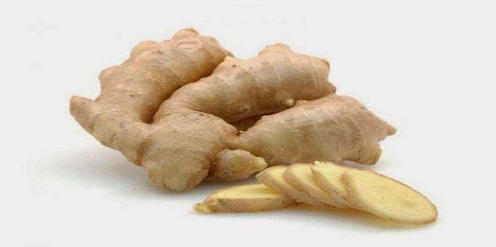 Manfaat Temu Putih untuk Kecantikan dan Kesehatan Wanita Manfaat Temu Putih untuk Kecantikan dan Kesehatan Wanita