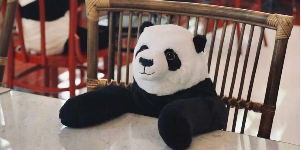 Tak Perlu Merasa Sepi, Makan Saja Bareng Panda Saat Social Distancing