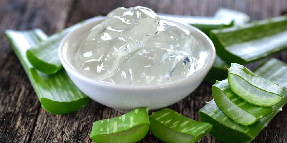 5 Manfaat Lidah Buaya untuk Kesehatan Bibir