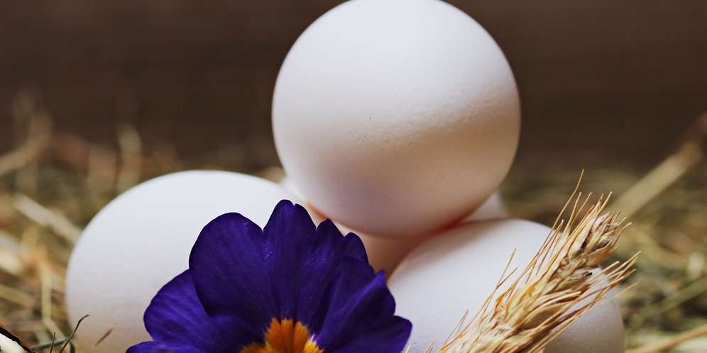 Efek Samping Penggunaan Masker Putih Telur Untuk Kecantikan