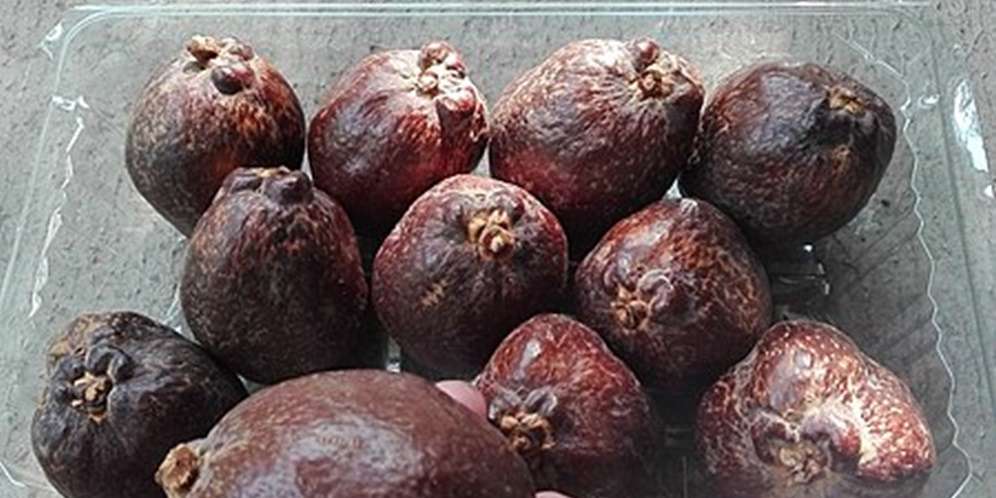 5 Manfaat Buah Zuriat Yang Jarang Di Ketahui 5 Manfaat Buah Zuriat Yang Jarang Di Ketahui