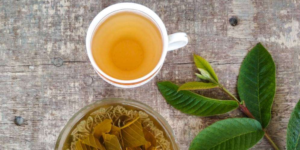 Aroma Khas Teh Herbal dari Daun Jambu Biji
