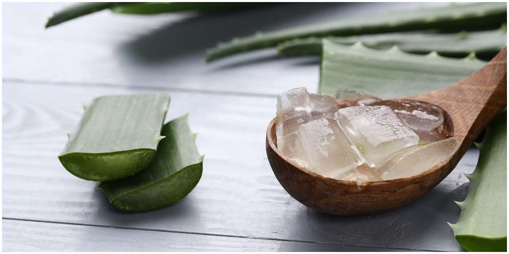 Manfaat Lidah Buaya untuk Kecantikan, Bikin Penampilan Makin Sempurna