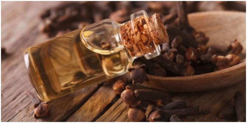 Manfaat Minyak Cengkeh bagi Kesehatan, Herbal Turun-temurun yang Mujarab