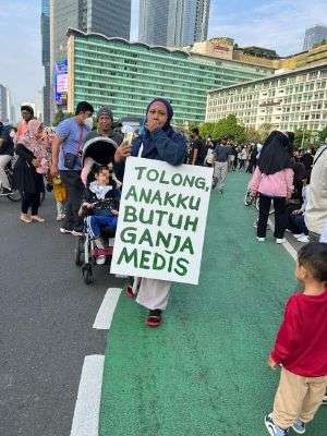 Viral Ibu Butuh Ganja Medis untuk Anaknya, DPR Kaji Legalisasi Medis
