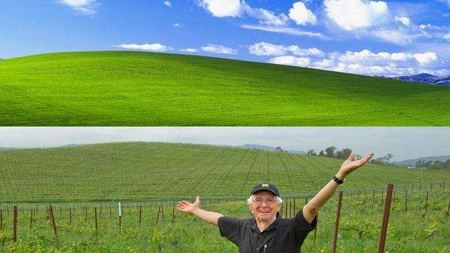 Windows Xp Dream Masih Ingat Wallpaper Windows XP? Ternyata Ini Sosok di Balik Foto ...