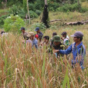 Mengenal Komunitas Masyarakat Adat Seberuang di Kalbar