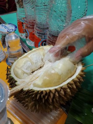 Mampir ke Kedai Ucok Durian di Medan, Nggak Enak Bisa Diganti Mampir ke Kedai Ucok Durian di Medan, Nggak Enak Bisa Diganti